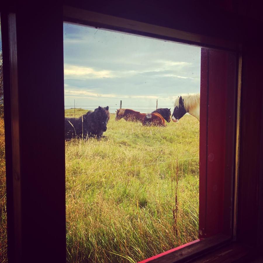 Dynjandi Guesthouse Höfn Екстериор снимка